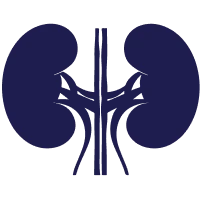 Urology & Kidney Care Centre